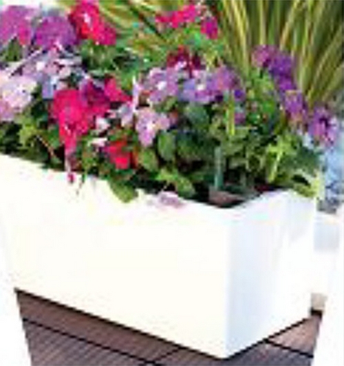 RIMINI Rect Self watering 51 cm