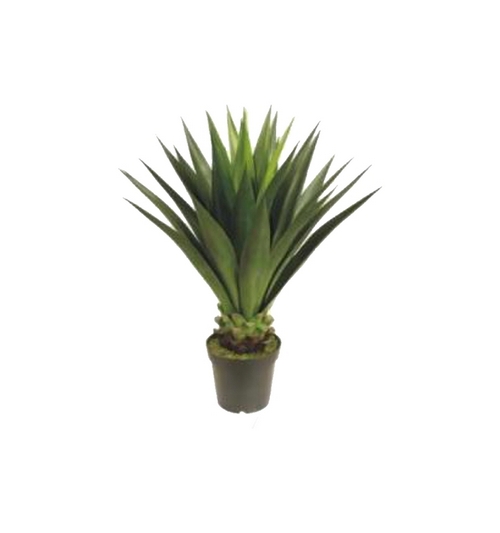 AGAVE  Green  100 cm