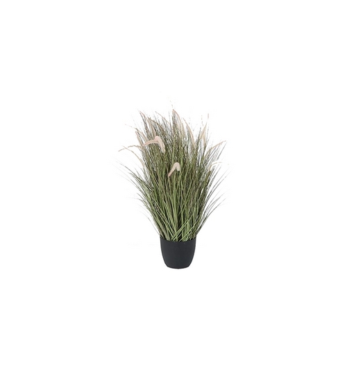 BRISTILLE GRASS  PT 1401-03   120 cm