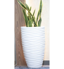 Sansevieria W/white planter